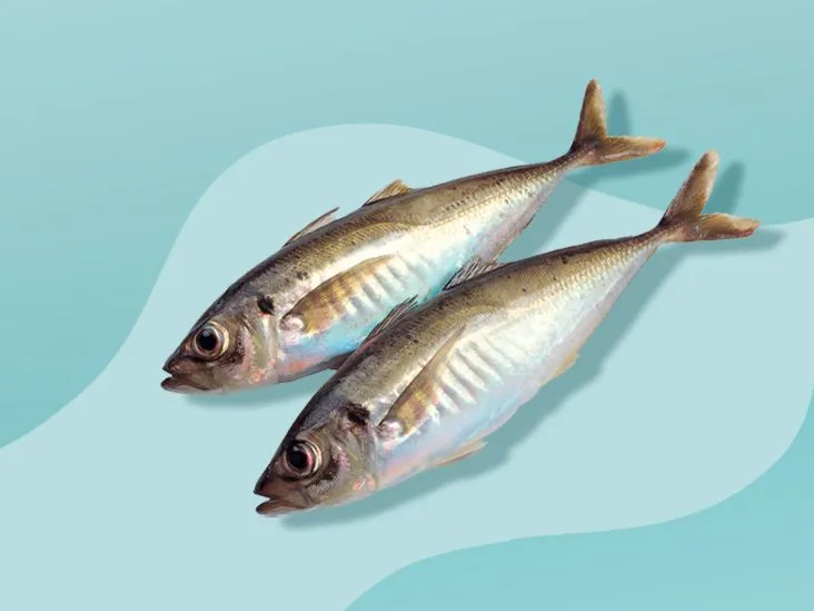 Sardines vs. Anchovies: Nutritional Profile, Benefits, and Considerations