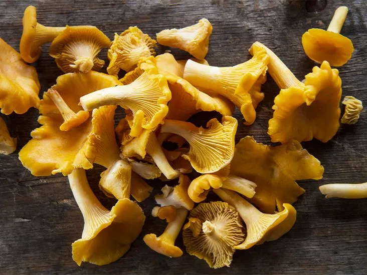 Chanterelle Mushrooms: Nutritional Profile, Health Benefits, and Cooking Tips